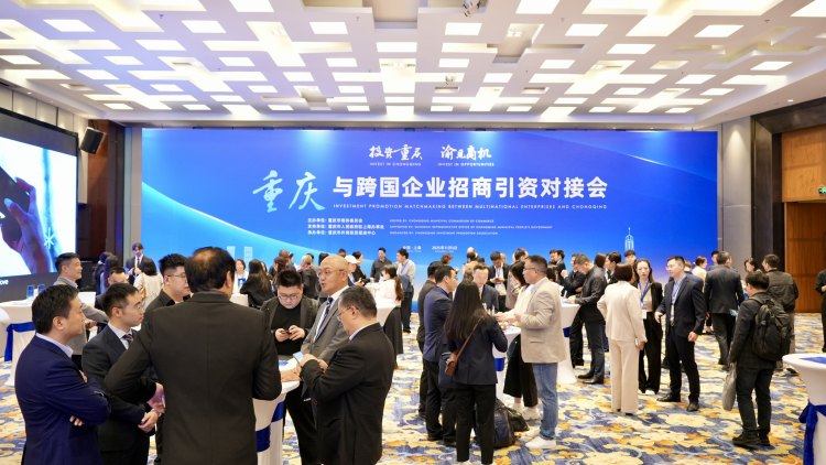 1762478924192711.jpg 1762423333281_preview.jpg